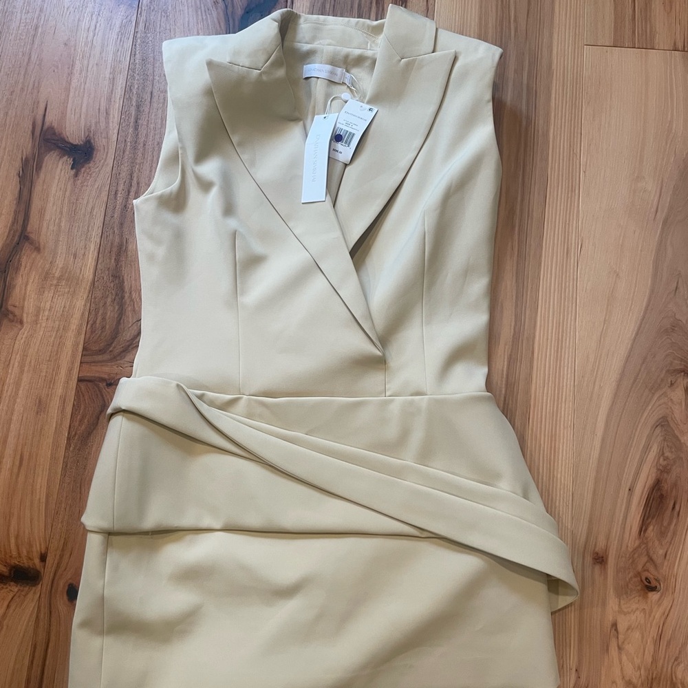 Jonathan Simkhai Elegant dried pineapple Sleeveless shoulder pad Dress 6